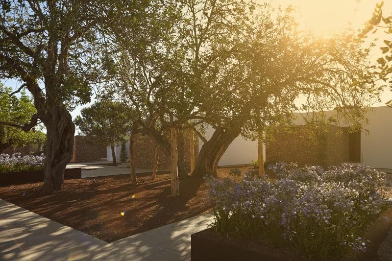 Morning terrace moments