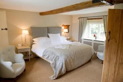 Standard Suite