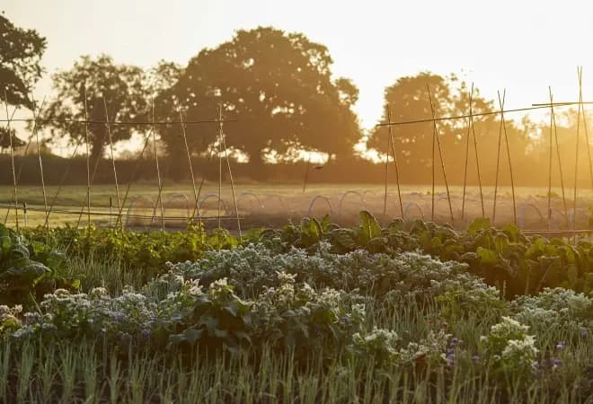 Garden facing breakfast
