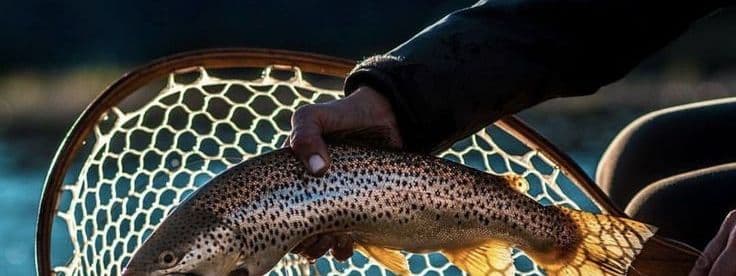 Private trout fishing on the Derwent
