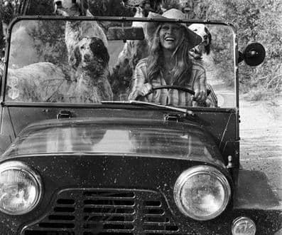 Take a Drive