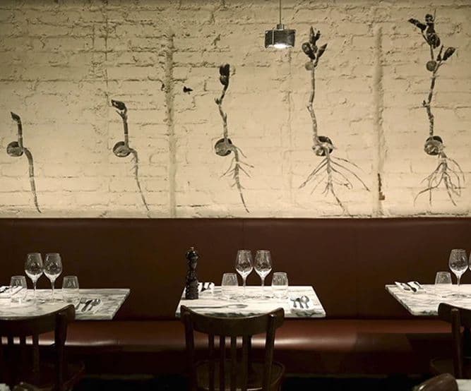 Dinner at Semilla