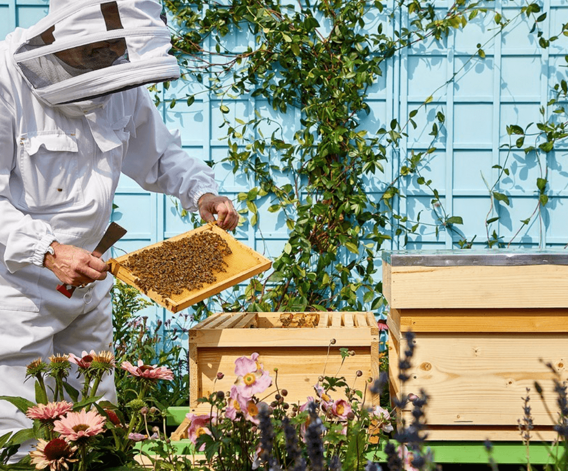Busy Bees