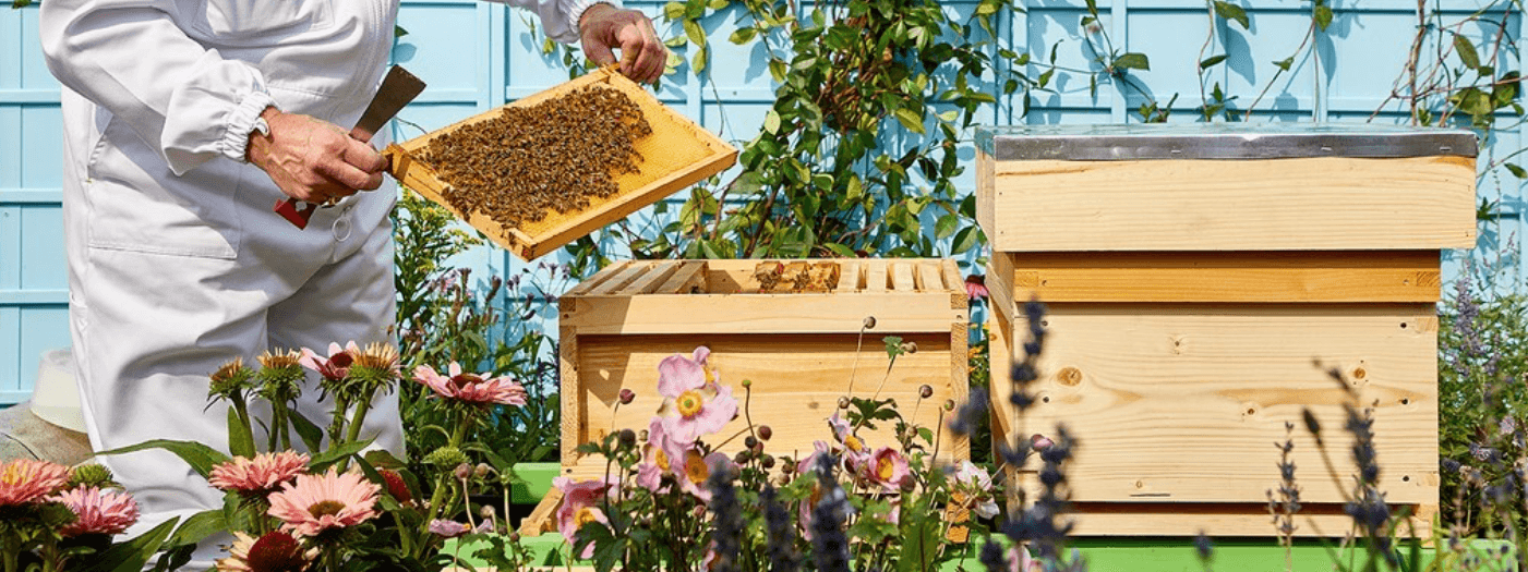 Busy Bees