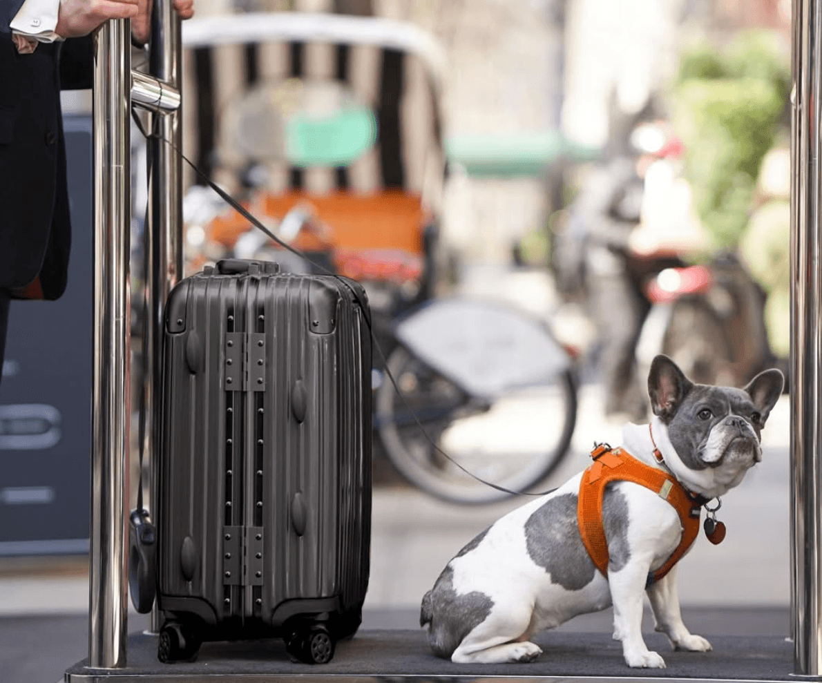 What to Bring